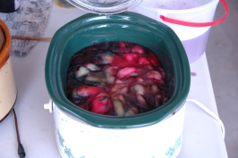 Crockpot with red and other dyes on roving